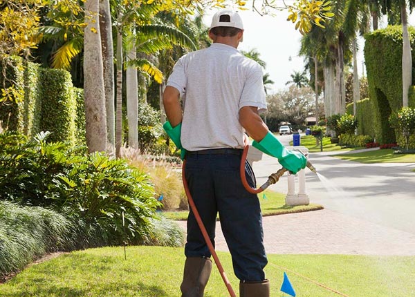 About Rumson NJ Pest Control Pros